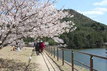 深山公園の画像