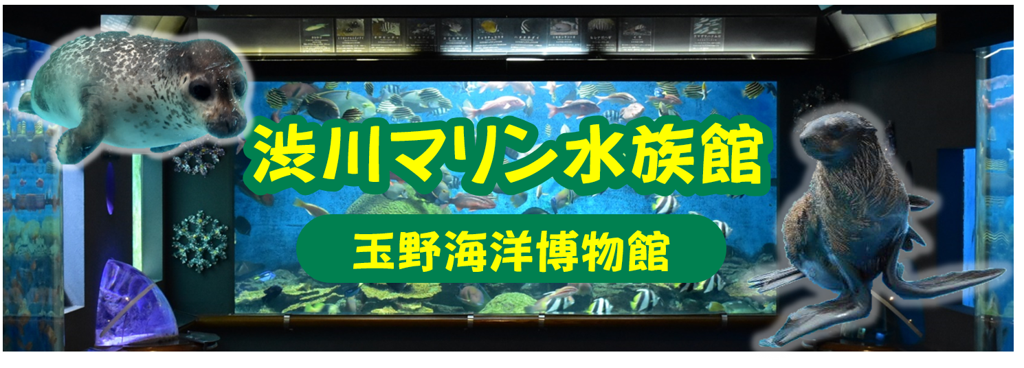 渋川マリン博物館(市の主な取組)