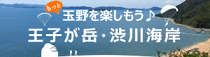 王子が岳・渋川海岸（観光）