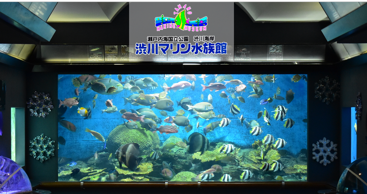 渋川マリン水族館（トップ）