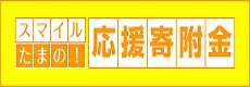 スマイルたまの応援寄附金(市の主な取り組み)