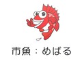 市魚:めばるの画像