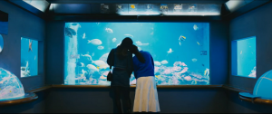 渋川マリン水族館