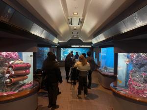 渋川マリン水族館