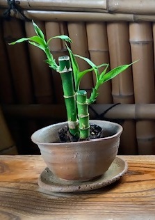 使用例