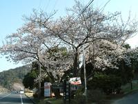 一日遊べる素敵な公園の画像