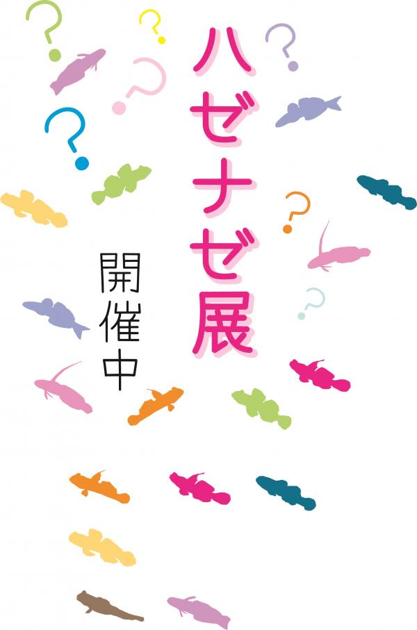 ハゼナゼ展ポスター
