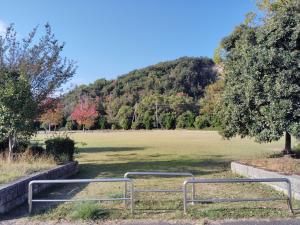 芝生広場１