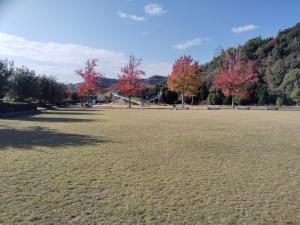 芝生広場２