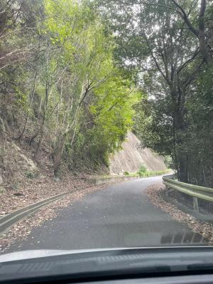 公園までの道路２