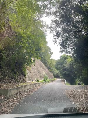公園までの道路３