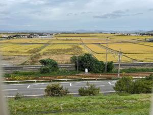 公園からの景色