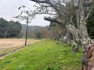 広場４