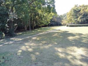自由広場２