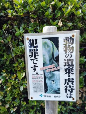 看板３