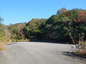 公園南入口からすぐの駐車場１