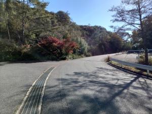 公園南入口近くの駐車場１