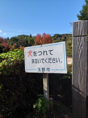 看板１０