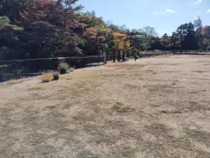 親水広場７