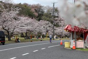 ミミちゃん広場３