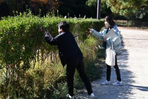 まちの広報部公園調査１