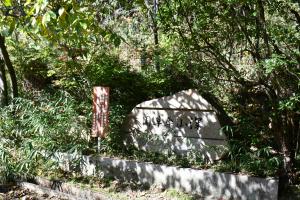 薬草園看板