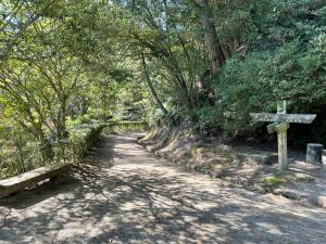 薬草園からモミジ谷