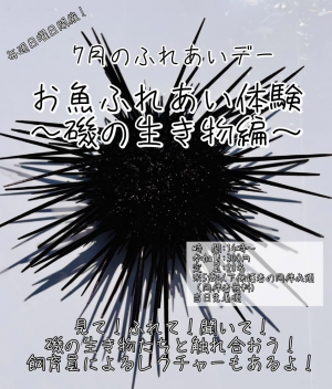 7月ふれあいイベント