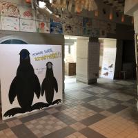 キタオットセイ展