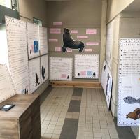 キタオットセイ展2