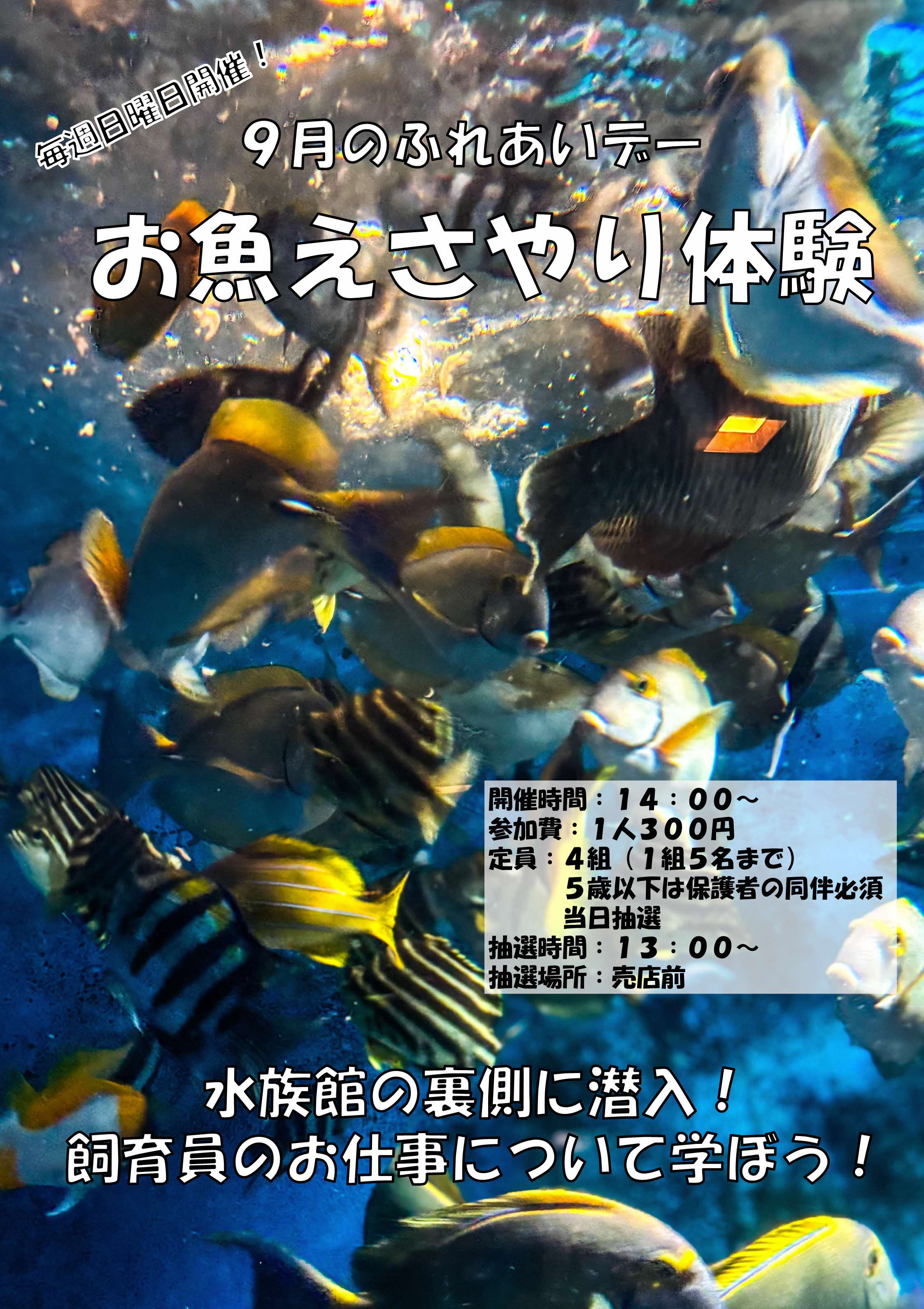 お魚えさやり体験