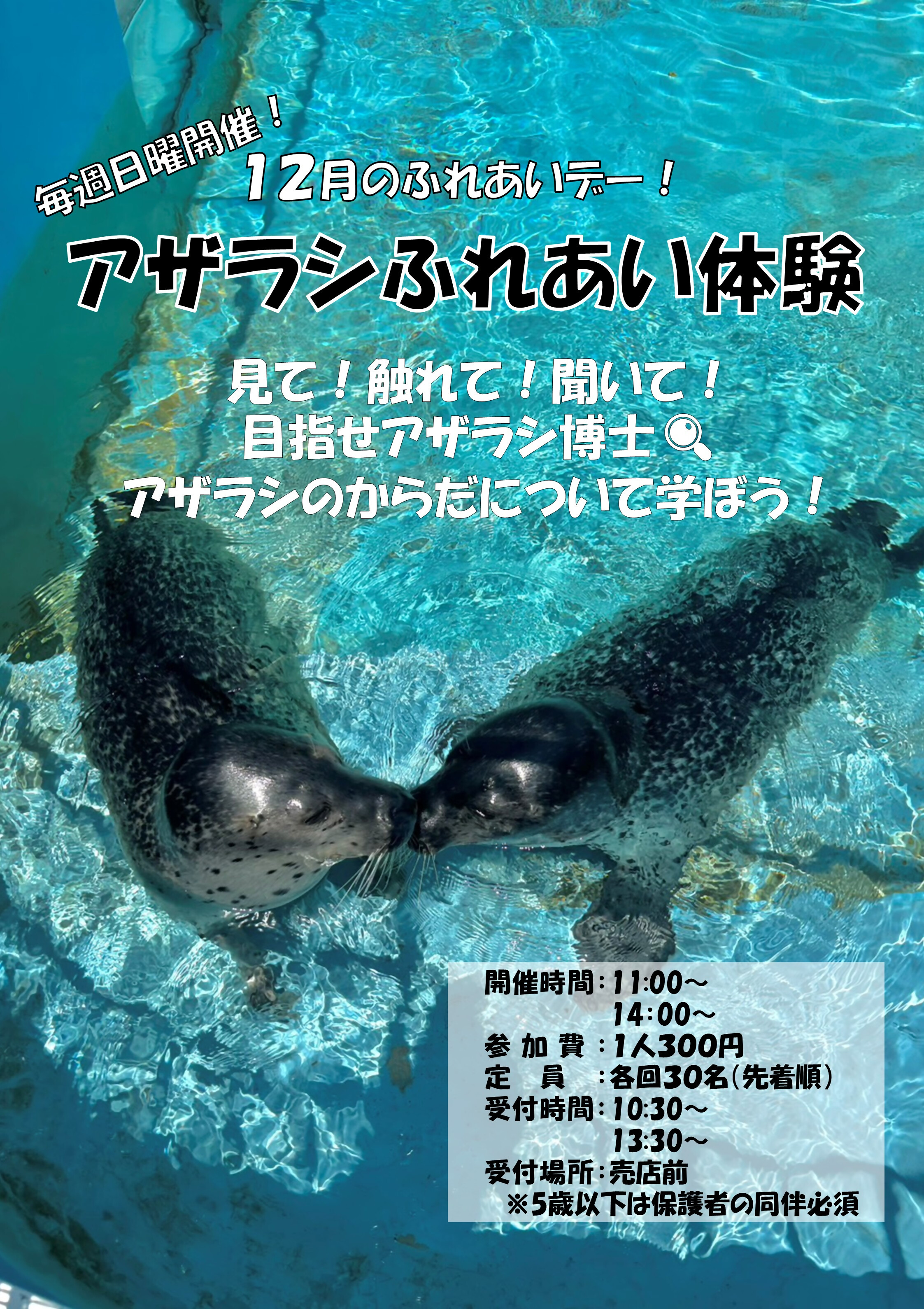 ふれあい１２月