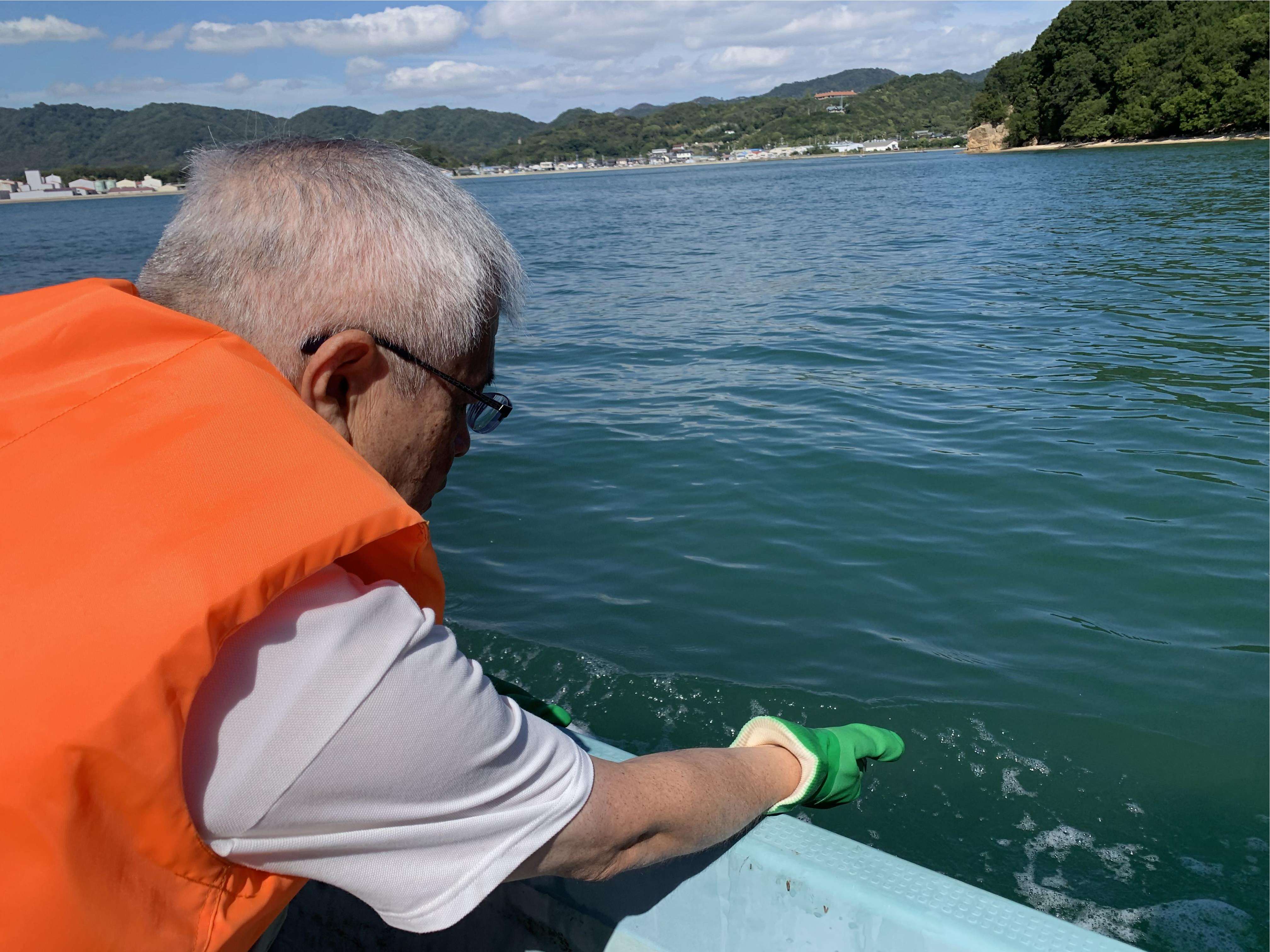 放流の様子(ヨシエビ)