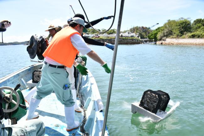 小型貝殻ブロック設置