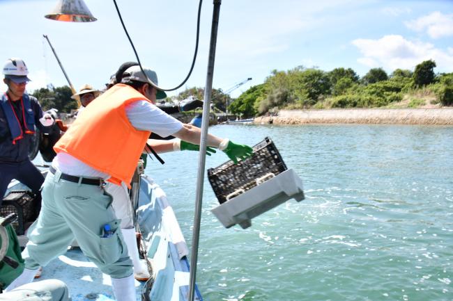 小型貝殻ブロック設置