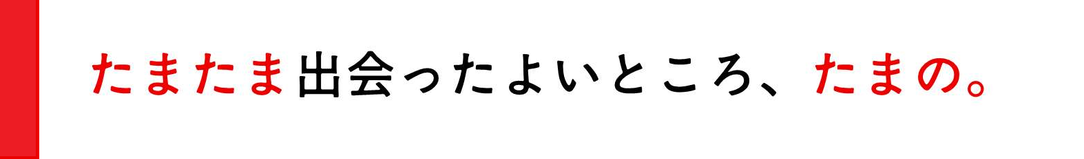 たまたま出会ったよいところ、たまの。
