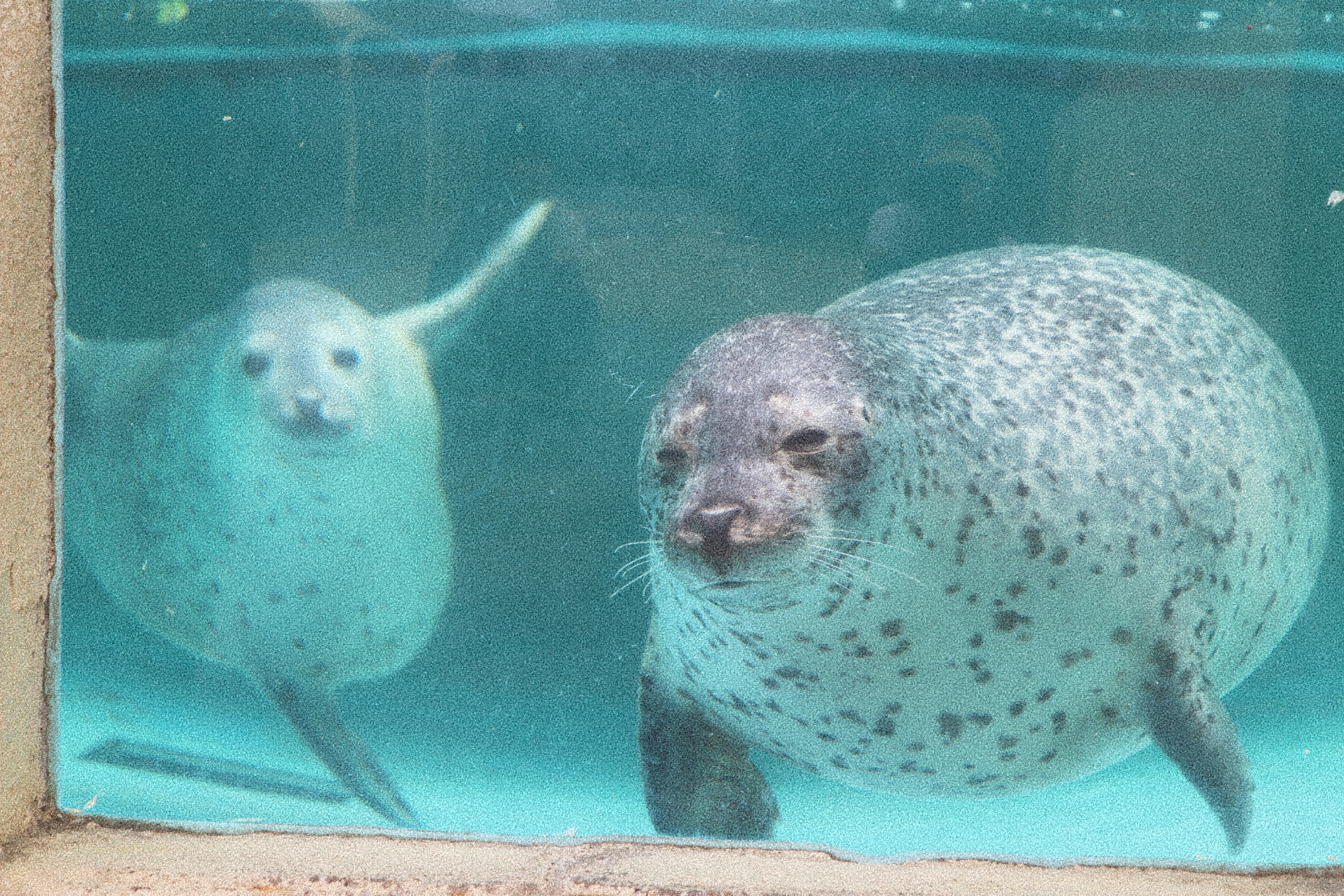 渋川マリン水族館