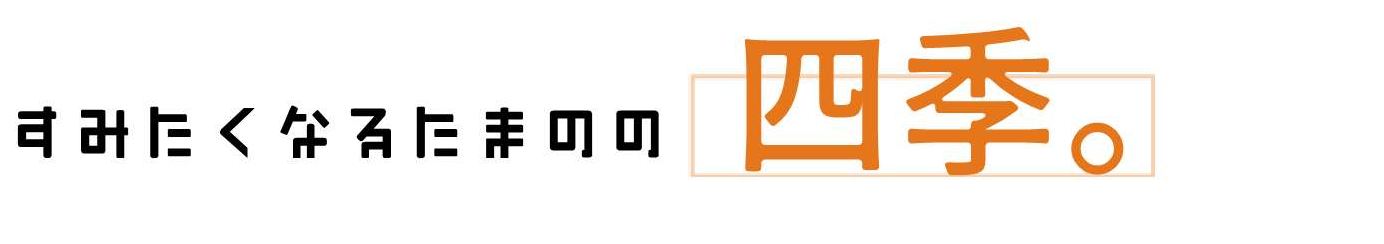 すみたくなるたまのの四季