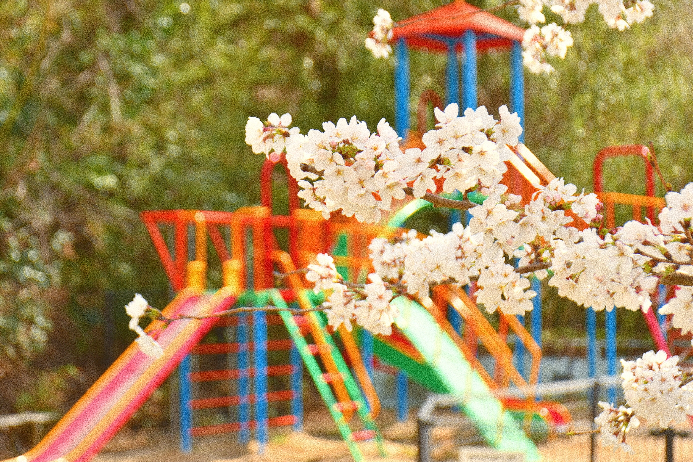横田公園