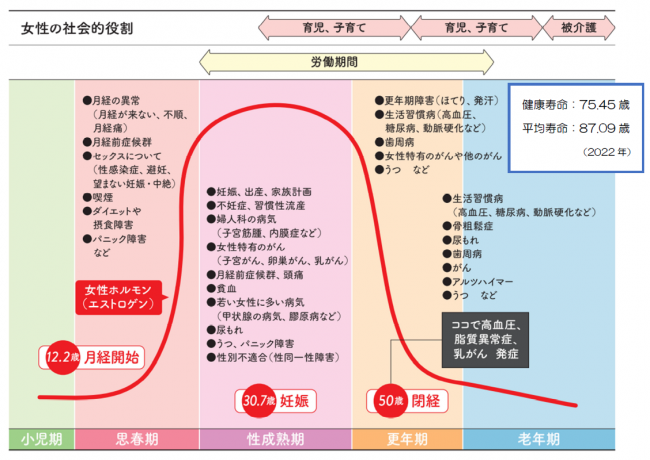 女性のライフステージ