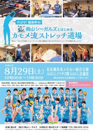 チラシ表