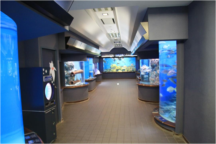 海博館内