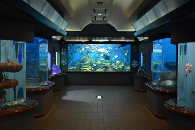 海洋博物館の画像
