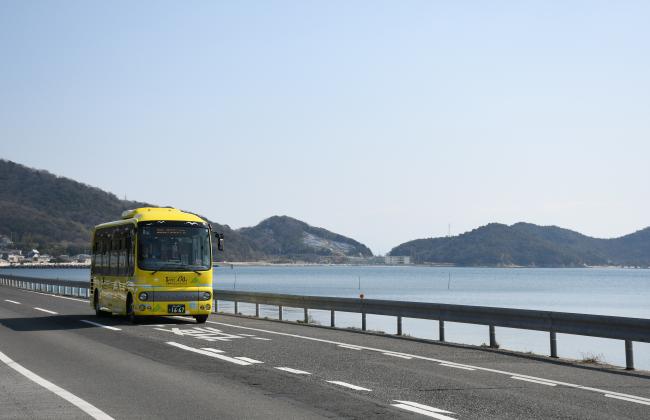 シーバスと海岸線の画像