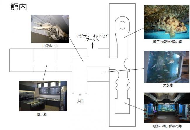 見取り図