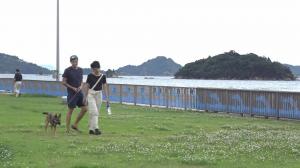 宇野港で犬の散歩