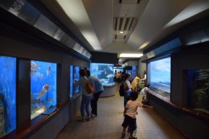玉野海洋博物館（渋川マリン水族館）