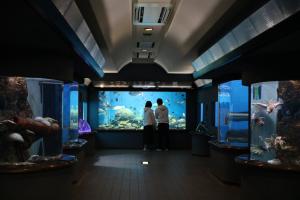 玉野海洋博物館（渋川マリン水族館）