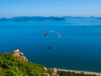 paraglider