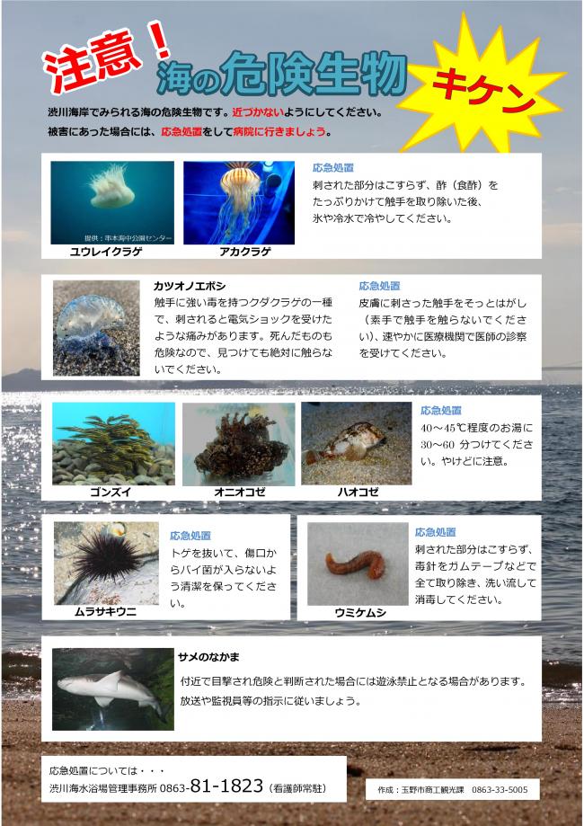 海の危険生物